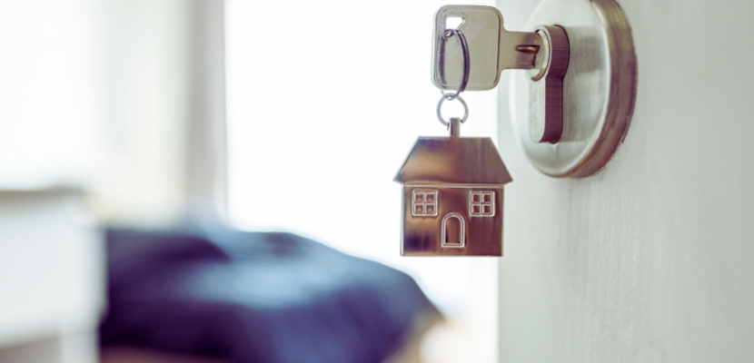 Comprehensive Rental Options 1